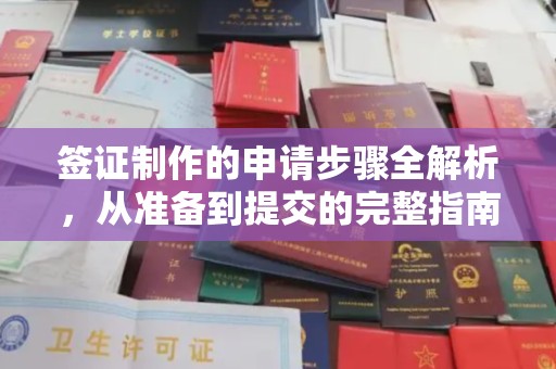 寿光签证制作的申请步骤全解析，从准备到提交的完整指南