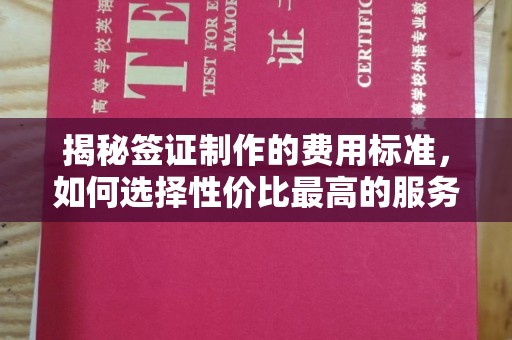 寿光揭秘签证制作的费用标准，如何选择性价比最高的服务？