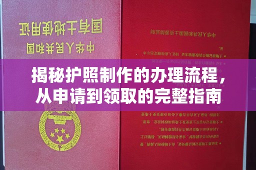 寿光揭秘护照制作的办理流程，从申请到领取的完整指南