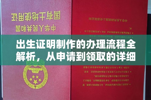 寿光出生证明制作的办理流程全解析，从申请到领取的详细指南