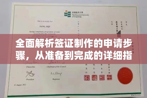 寿光全面解析签证制作的申请步骤，从准备到完成的详细指南