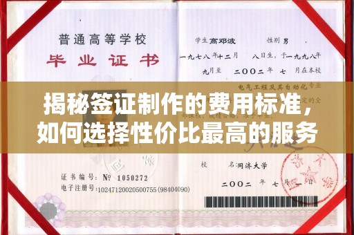 寿光揭秘签证制作的费用标准，如何选择性价比最高的服务？