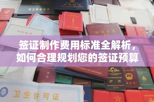 寿光签证制作费用标准全解析，如何合理规划您的签证预算？