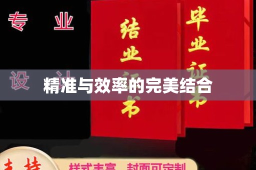 寿光精准与效率的完美结合